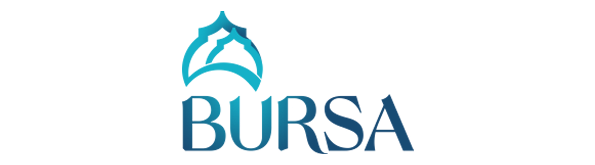 bursa-markalasiyor[1]